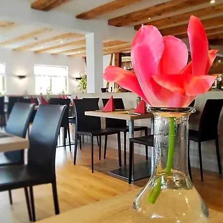 Otel & Restaurant Adler - 24h Self-checkin Ittendorf