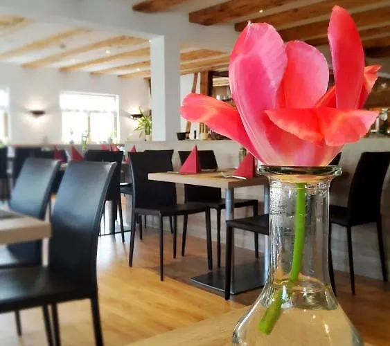 ホテル & Restaurant Adler - 24h Self-checkin 3*