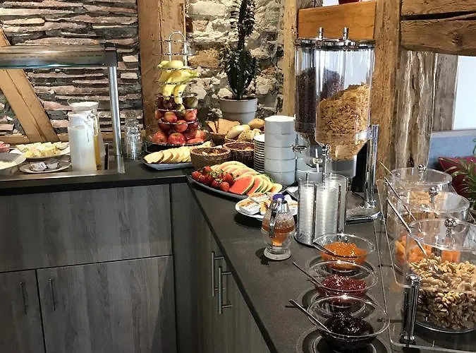 ホテル & Restaurant Adler - 24h Self-checkin 3*